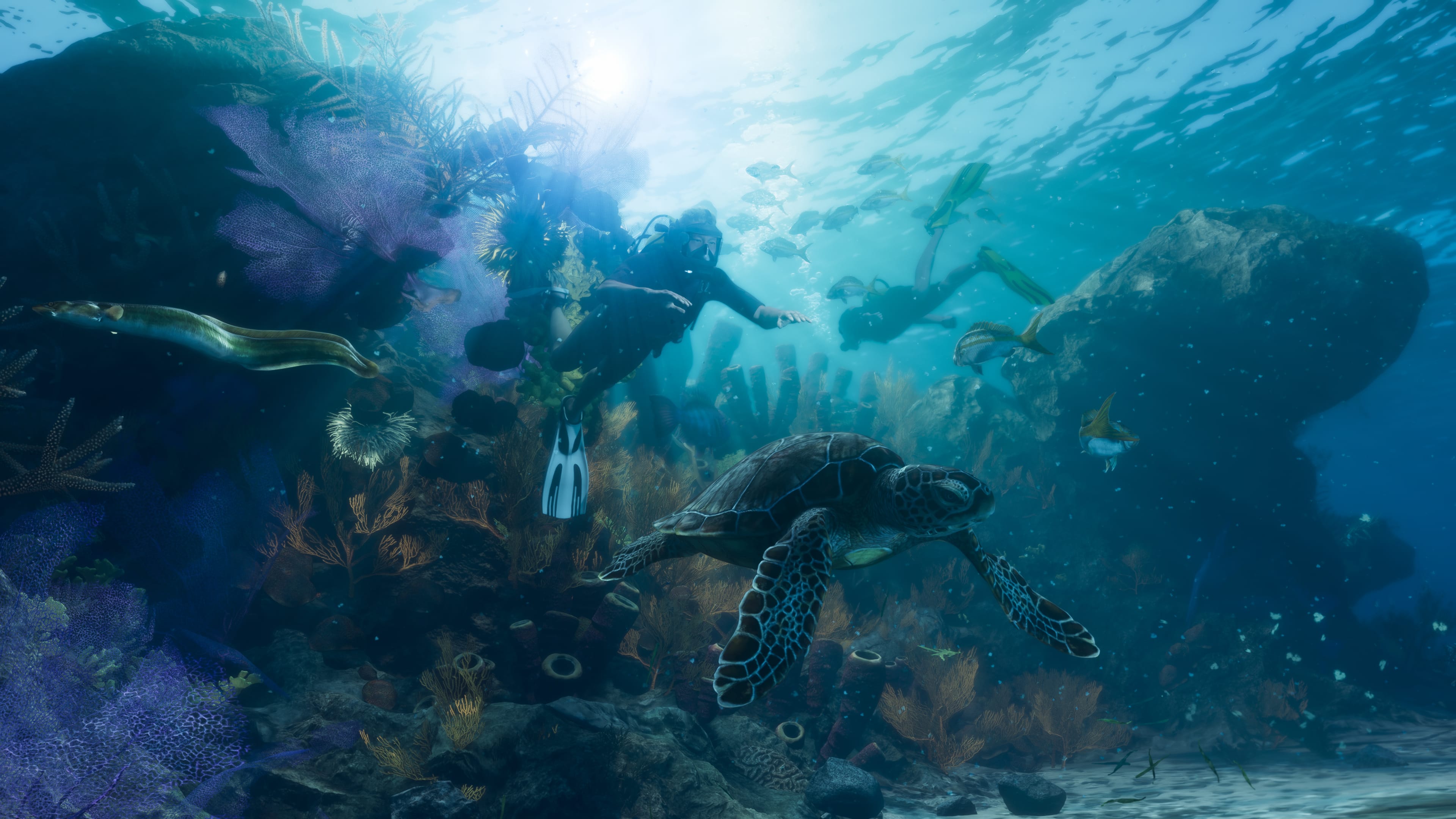Sea Turtle in GTA 6, Leonida Keys coral reef