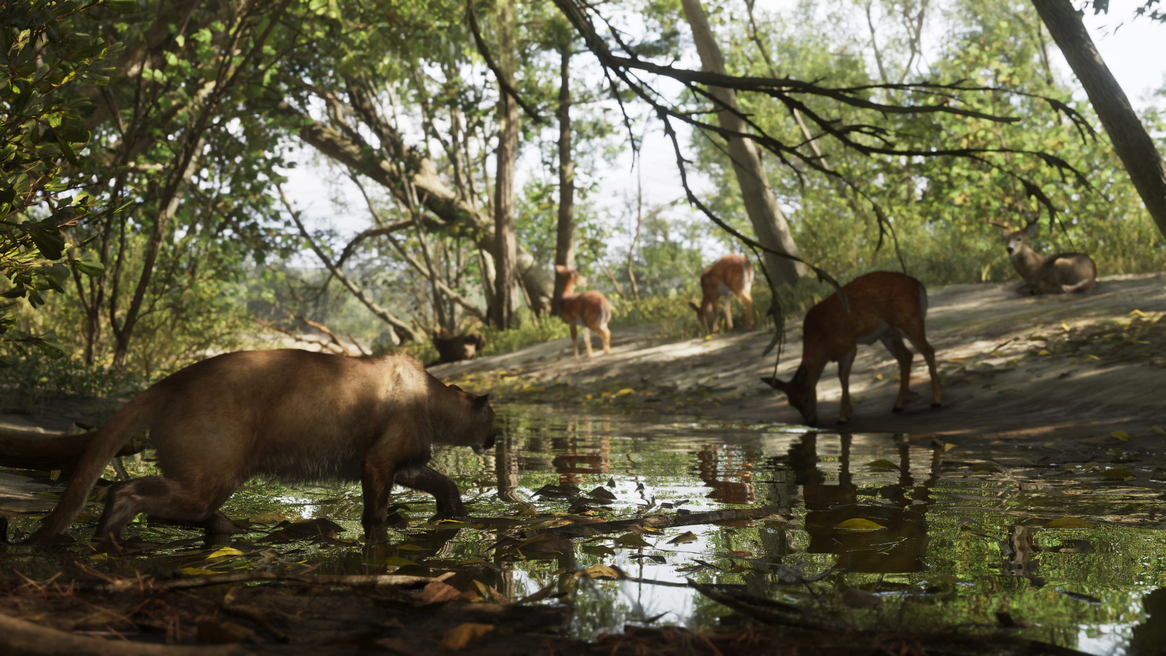 Florida Panther in GTA 6, Leonida inland wilderness
